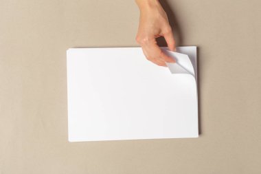 Kağıtları a4 boyutunda tutan el