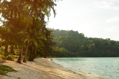 Deniz. Güzel tropik cennet.