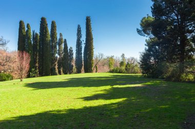 Taze yeşillik ve otlar ile Park