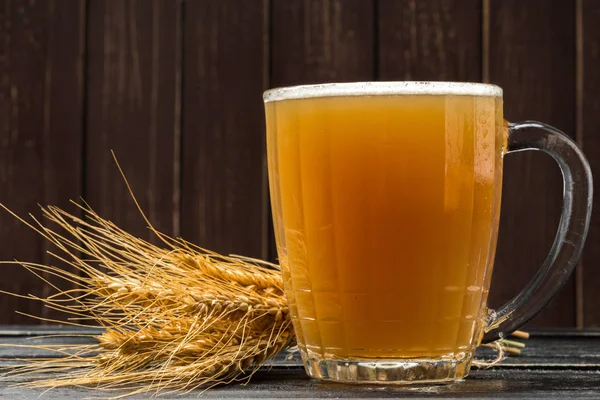 Beer Drinking Concept Close Shot — Stock Photo, Image