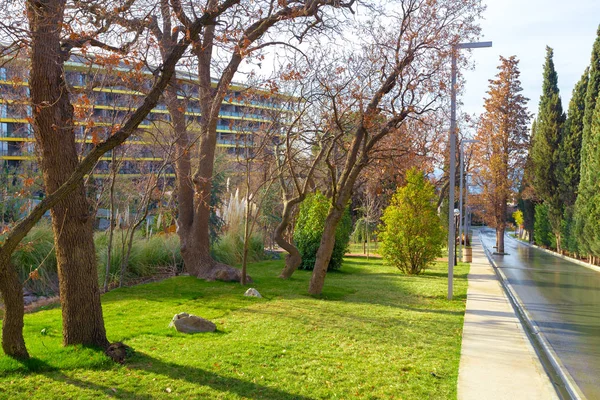 Parco Con Fogliame Fresco Erba — Foto Stock