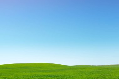 Genç yeşil alan bahar