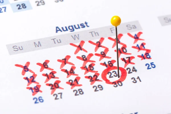 Closeup Dates Calendar Page — Stock Photo, Image
