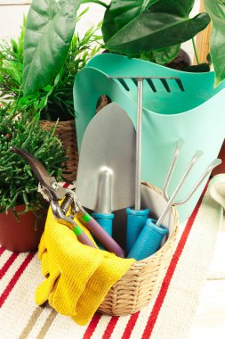 Bahçe aletleri bileşimi