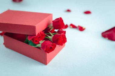 Mutlu sevgililer günü güzel tebrik kartı 