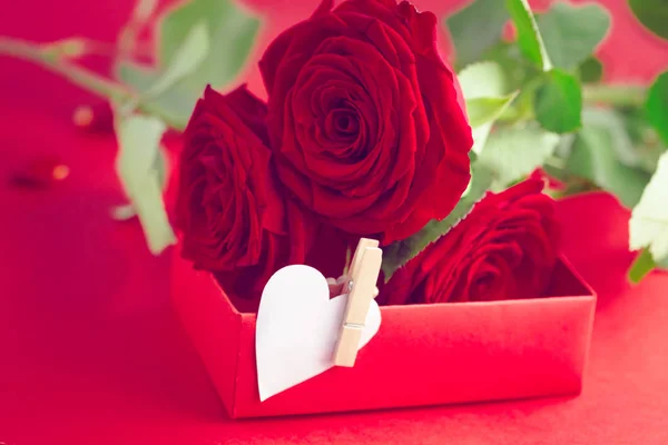 Feliz Día San Valentín Hermosa Tarjeta Felicitación — Foto de Stock