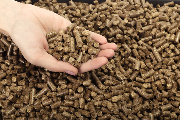 close-up view of human hand holding solid wooden pellets