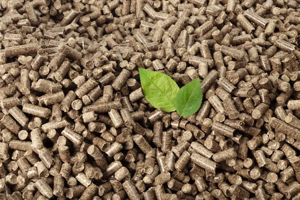 Grüne Blätter Auf Massivem Holzpellets Hintergrund — Stockfoto