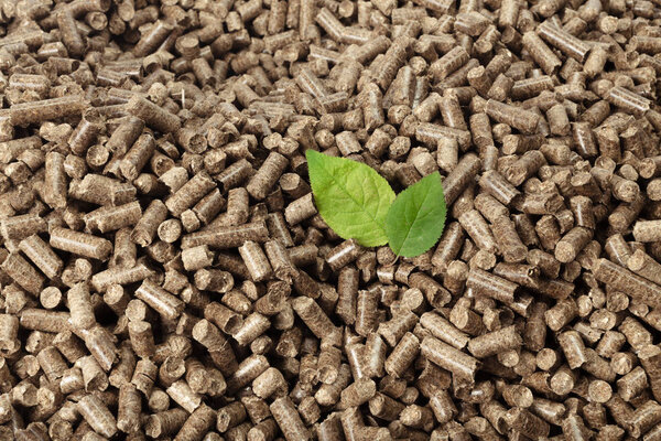 Green leaves on solid wooden pellets background