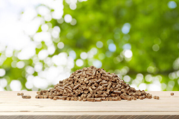 close-up view of wood pellets on a green background. Biofuels.