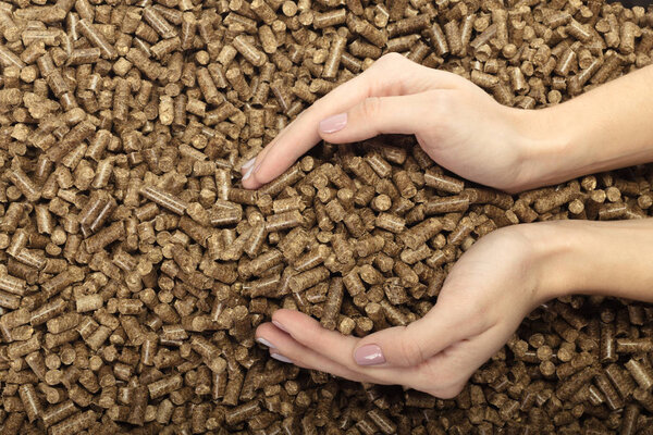 Человеческие руки держат твердые деревянные гранулы
