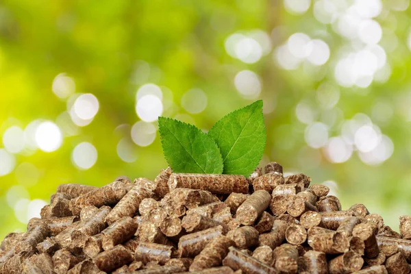 Vista Cerca Pellets Madera Sobre Fondo Verde Biocombustibles — Foto de Stock