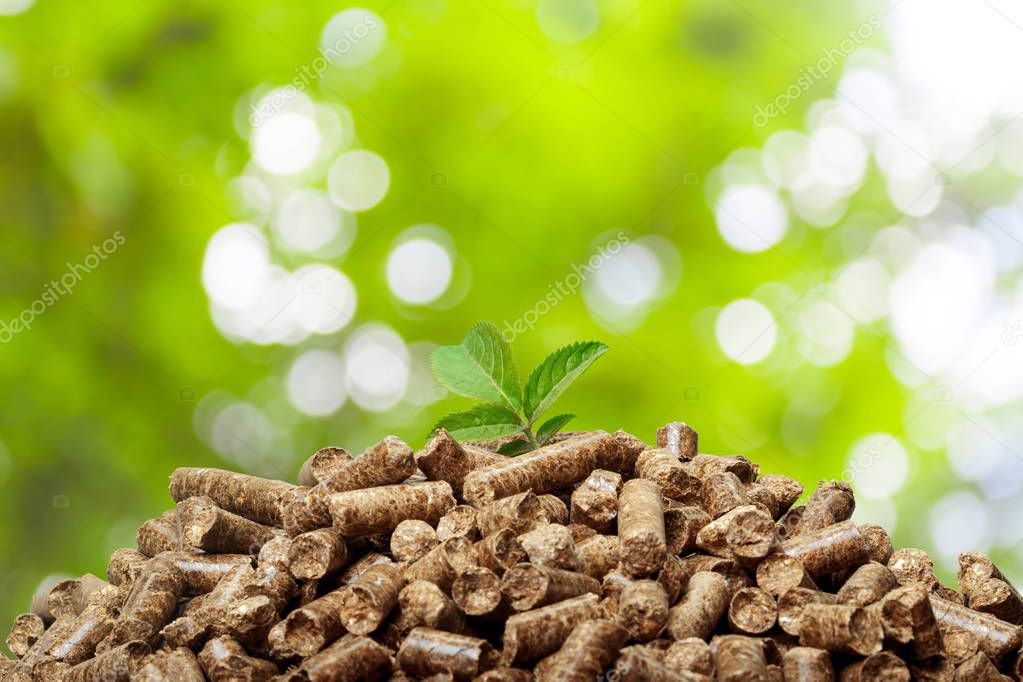 close-up view of wood pellets on a green background. Biofuels.