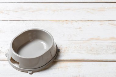 gri bir ahşap masa ıslak zeminde evde beslenen hayvan, yakın çekim