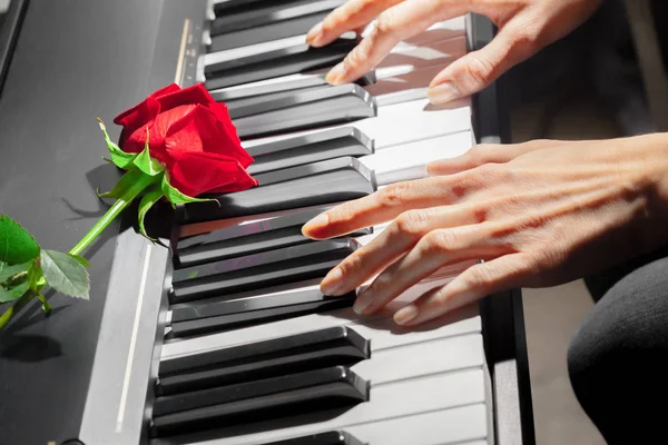 Rosas Vermelhas Teclas Piano — Fotografia de Stock