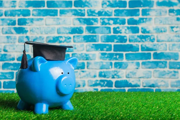 piggy bank with college graduate hat