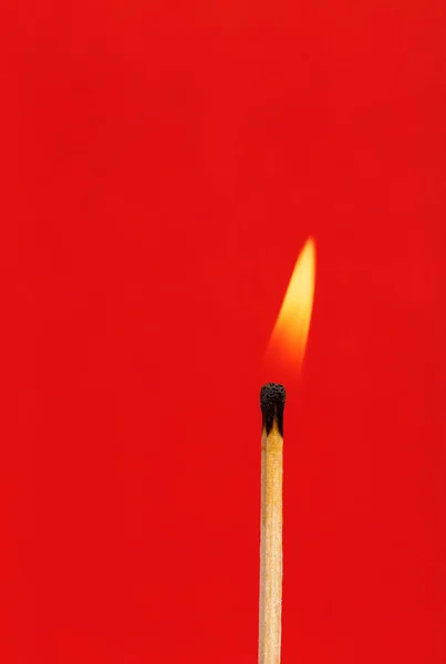 Burning match on red background — Stock Image Burning Match Red Background Royalty Free Stock Images