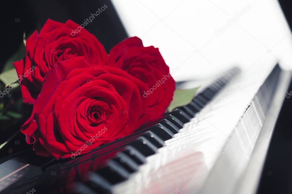 red roses on piano keys