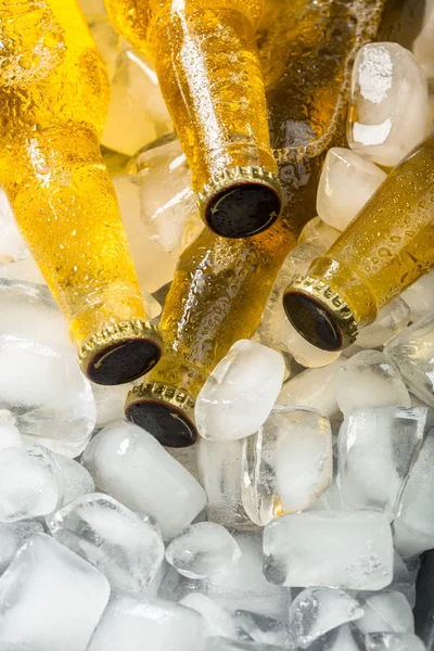 Botellas Cerveza Fría Fresca Con Hielo — Foto de Stock