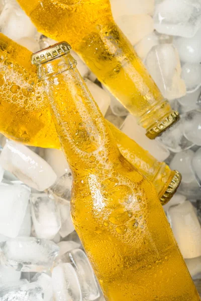 Bottles of cold and fresh beer with ice