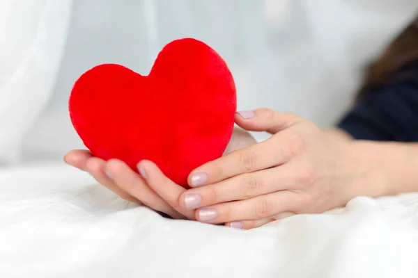Heart Hands Valentines Day Concept — Stock Photo, Image