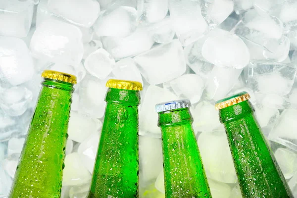 Bottles of cold and fresh beer with ice