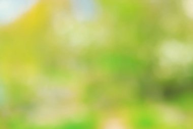 Bulanık park, canlı yeşil doğal arka plan