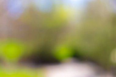 Bulanık park, canlı yeşil doğal arka plan