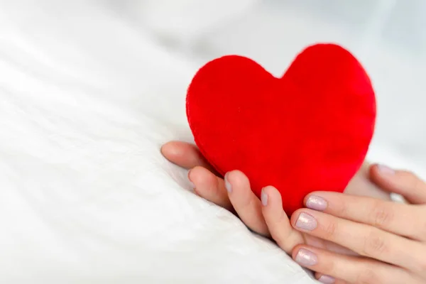 Heart Hands Valentines Day Concept — Stock Photo, Image