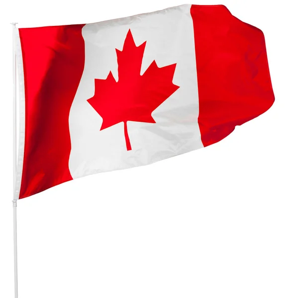 Canadian Flag Isolated White — Stock Photo, Image