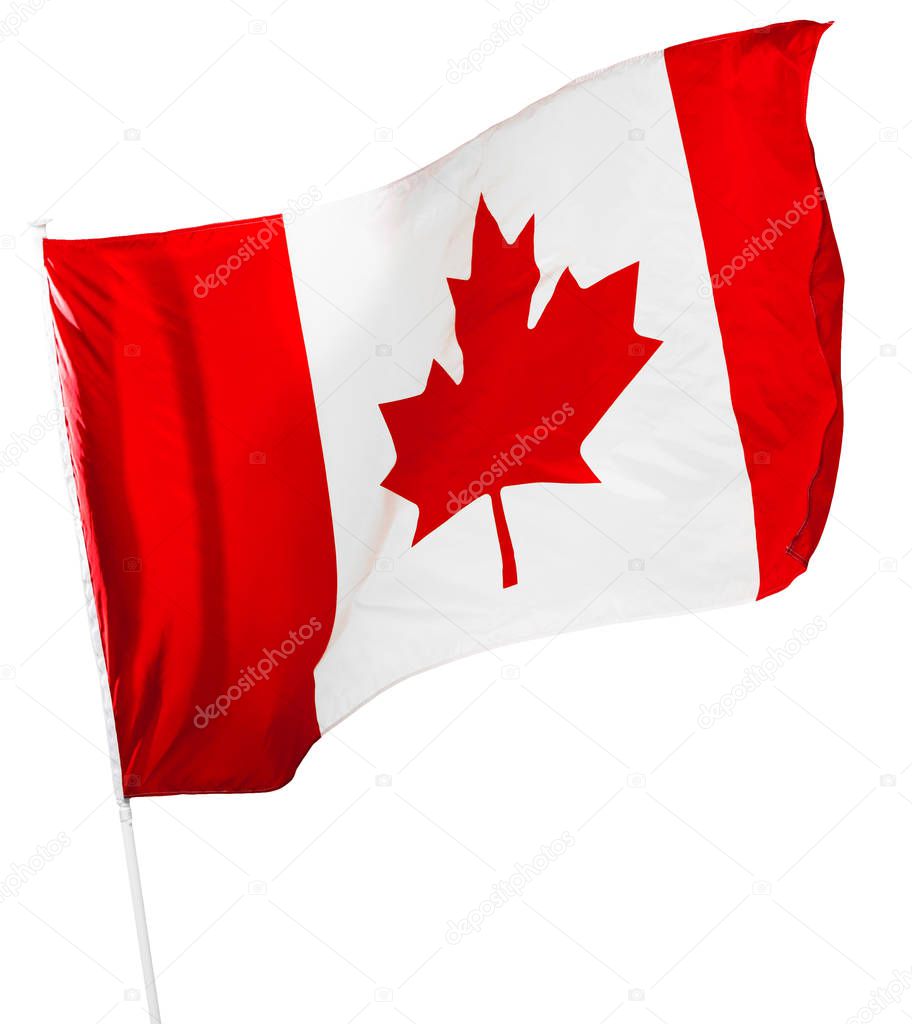 Canadian Flag isolated on white