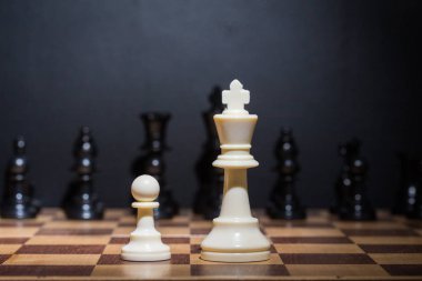 bir satranç tahtası üzerinde ayarla satranç taşları görmek