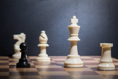 bir satranç tahtası üzerinde ayarla satranç taşları görmek