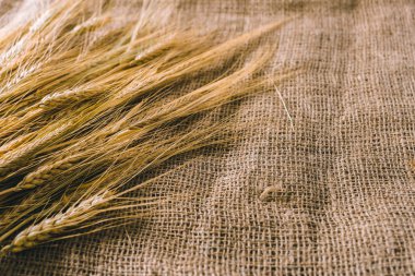 Buğday çul arka plan üzerinde görmek