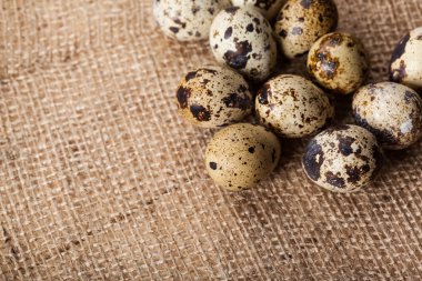 Bıldırcın yumurtası Sim Tarih