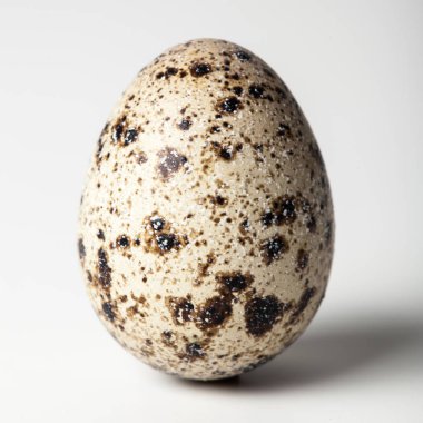 Bıldırcın yumurta beyaz zemin üzerine