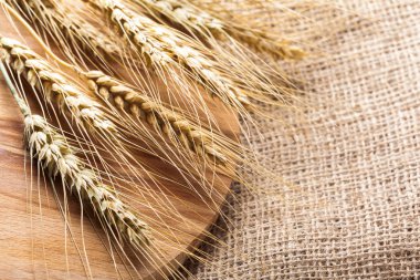 kulakları buğday bir çul arka planda görmek 