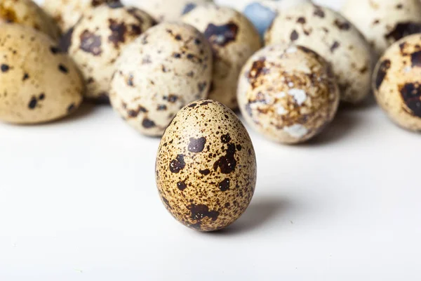 Крупним Планом Вид Яйця Гуахілі Ізольовані Білому Тлі — стокове фото