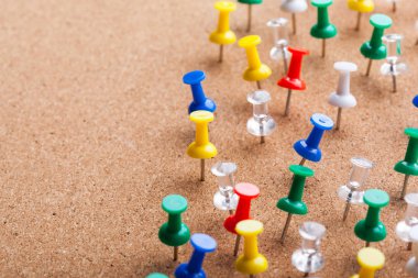 Corkboard yakından görmek raptiye grup sabitlenmiş 