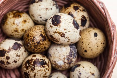 taze bıldırcın yumurtası ahşap plaka yakından görmek 