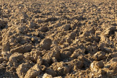 Bir alan tarım arazisi için Earth'te