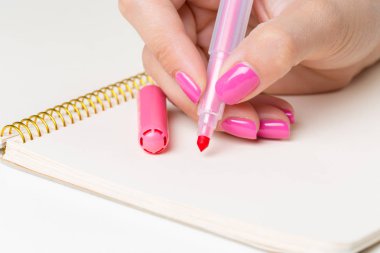 Yazılı defter çalışan kadınlar eller iş 