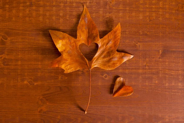 Herfst Bladeren Houten Tafel — Stockfoto