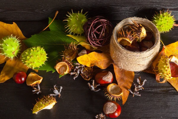 Şükran günü arka plan yakın çekim 