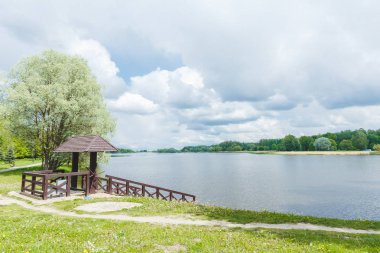 Güzel yeşil park manzarası