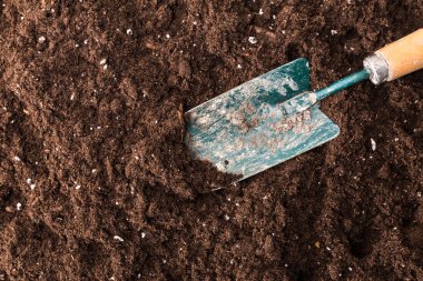 Bahçe bir kürek toprak zemin üzerine