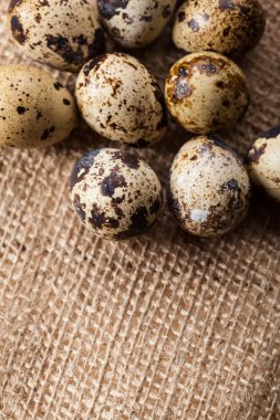 Bıldırcın yumurtası Sim Tarih