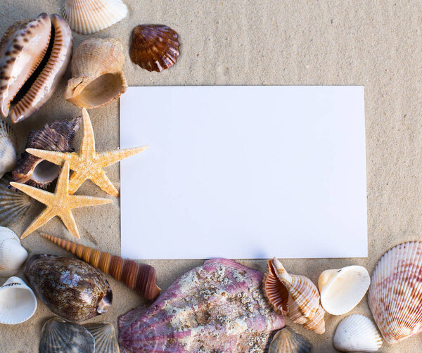 holiday beach concept with shells, seastars and an blank postcard