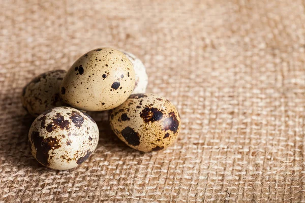 Telur Puyuh Pada Kain Kabung — Stok Foto