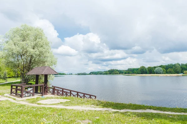 Güzel yeşil park manzarası